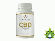 Prosper Wellness CBD eases stress